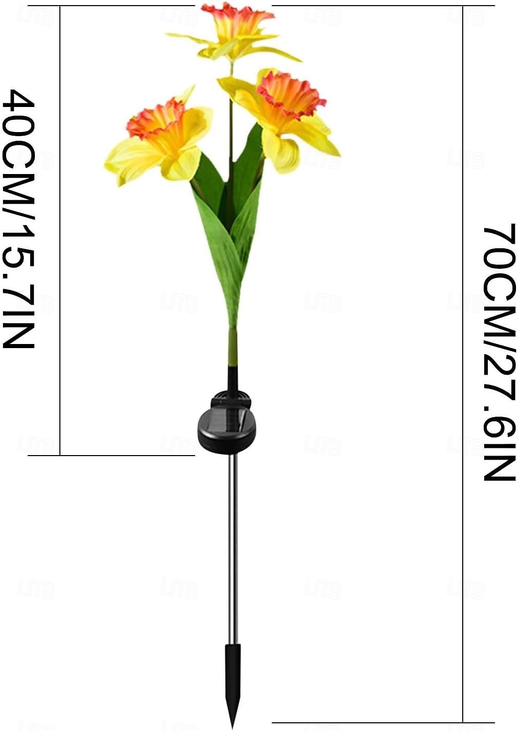 no image